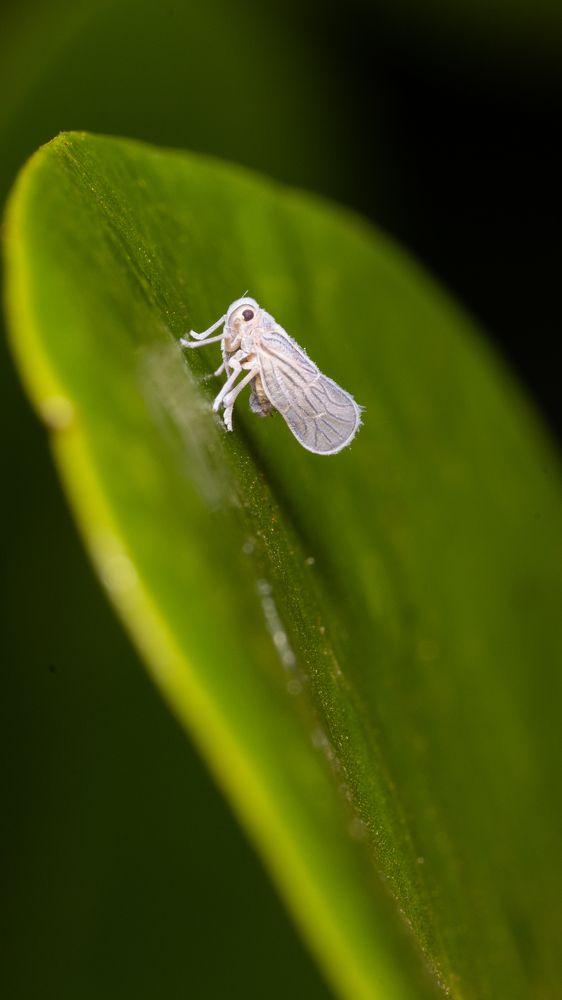 Photograph by Tushar Chindarkar