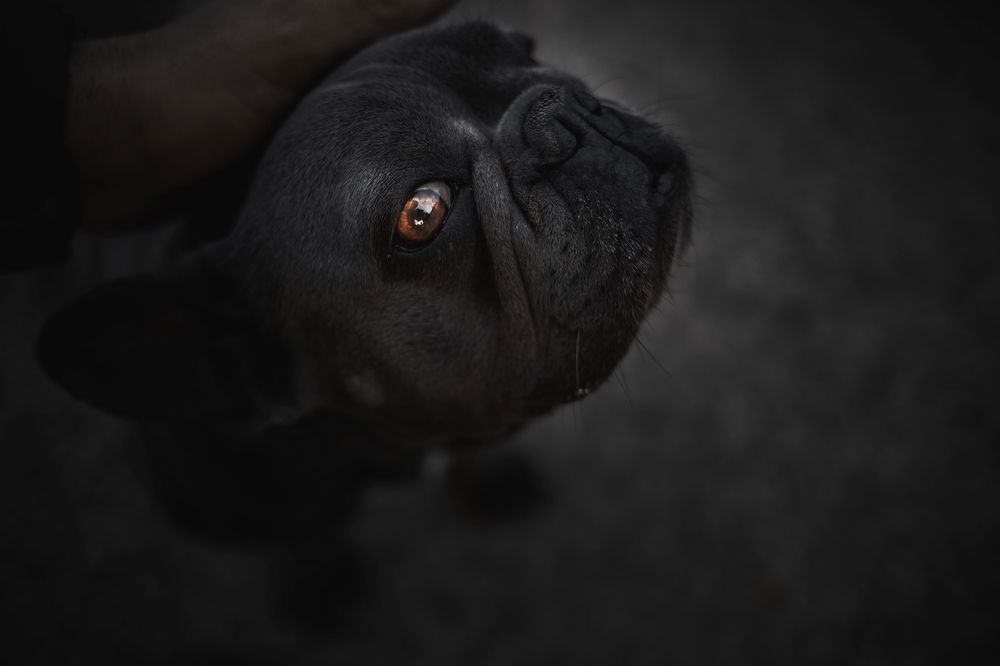 Фотография автора Tomas Kozel