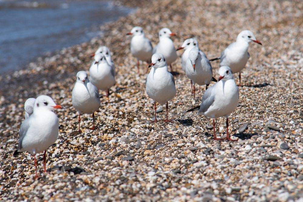 Photograph by Gorodetskiy Konstantin