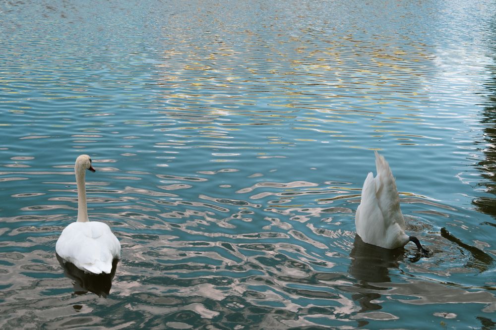 Photograph by Gorodetskiy Konstantin