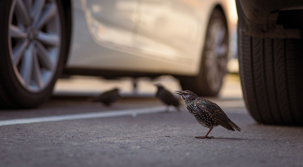 Photograph by Максим Усов