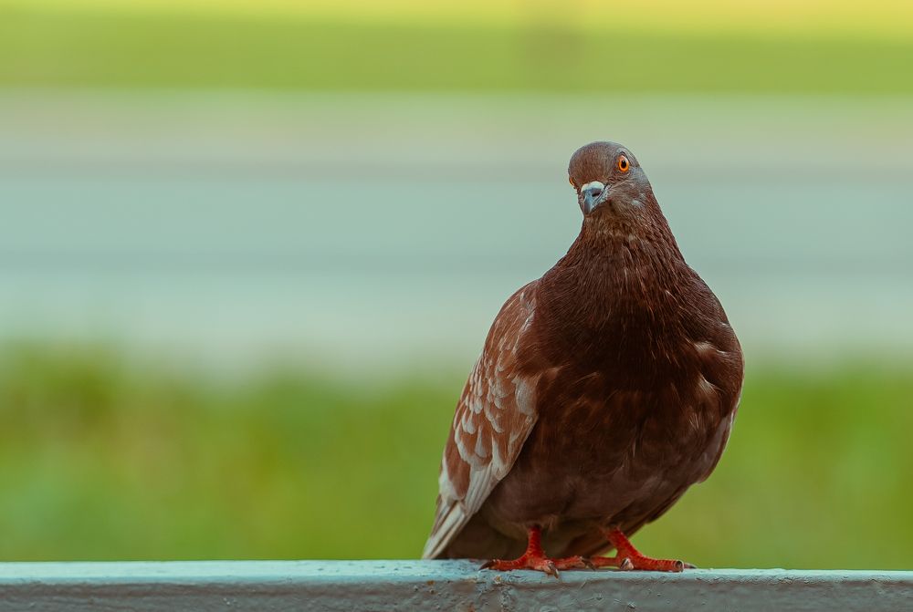 Photograph by Максим Усов