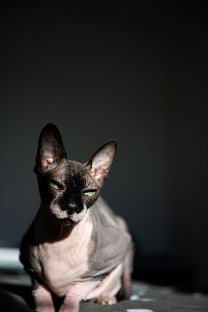 Photograph by Ровенская Татьяна