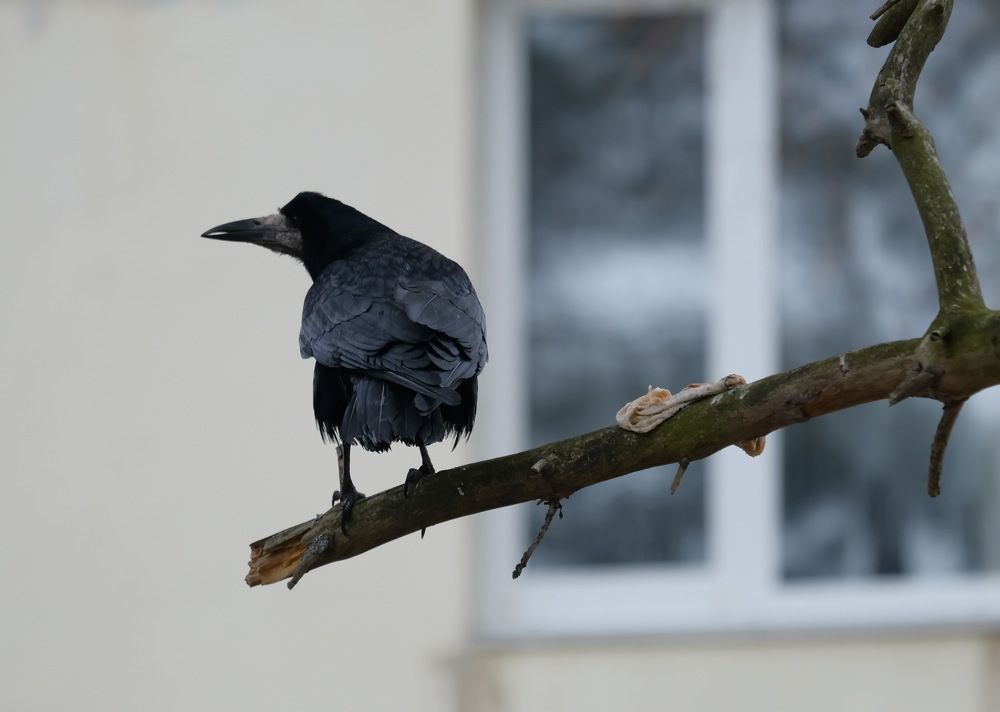 Photograph by Андрей Михайлин