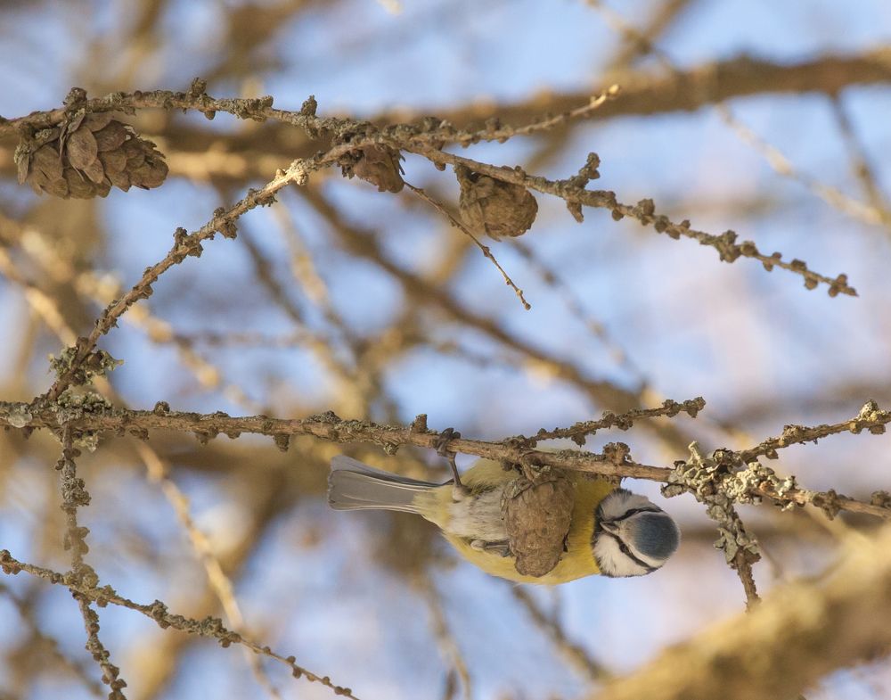 Photograph by Андрей Михайлин