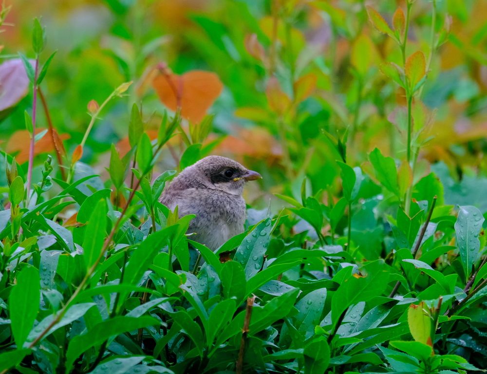 Photograph by Андрей Михайлин