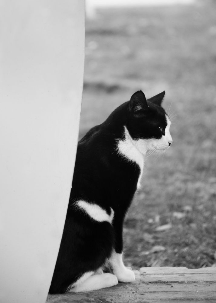 Photograph by Mahta Heidaripour