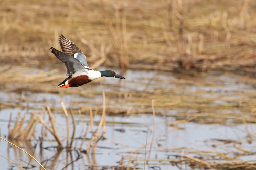 Photograph by Михаил Косяк