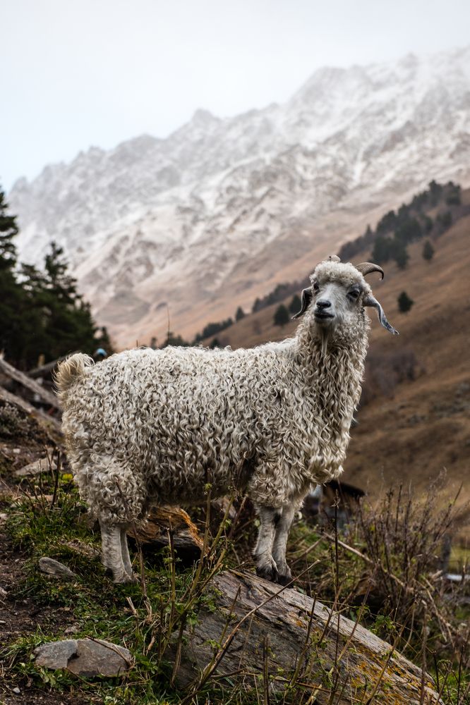 Photograph by Евгений Моляшов