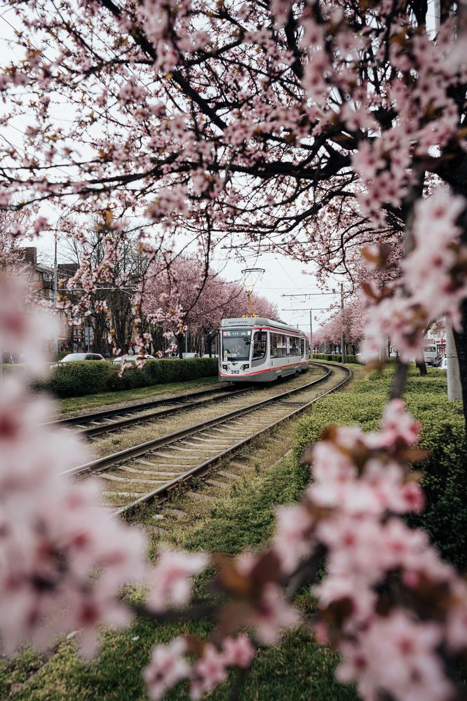 Photograph by Александр Корнев