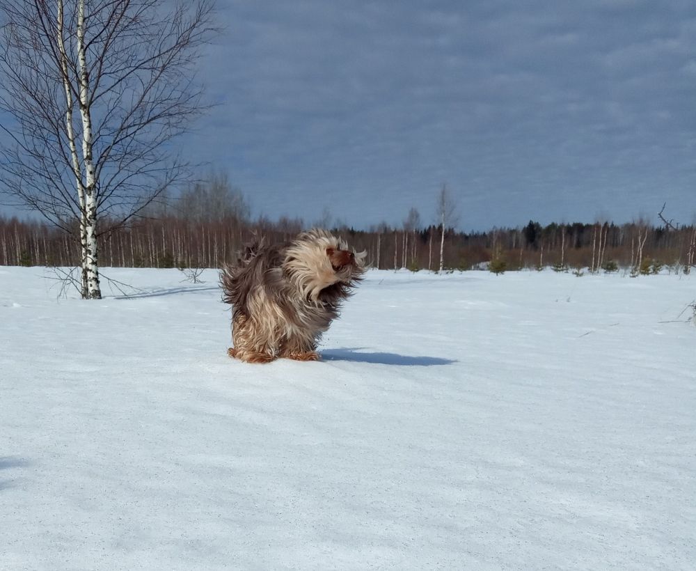 Photograph by Любовь Шаврина