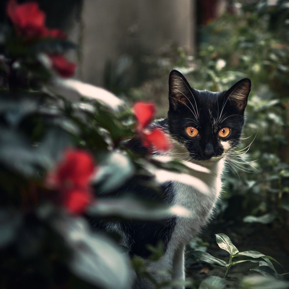 Photograph by Эн Скляров