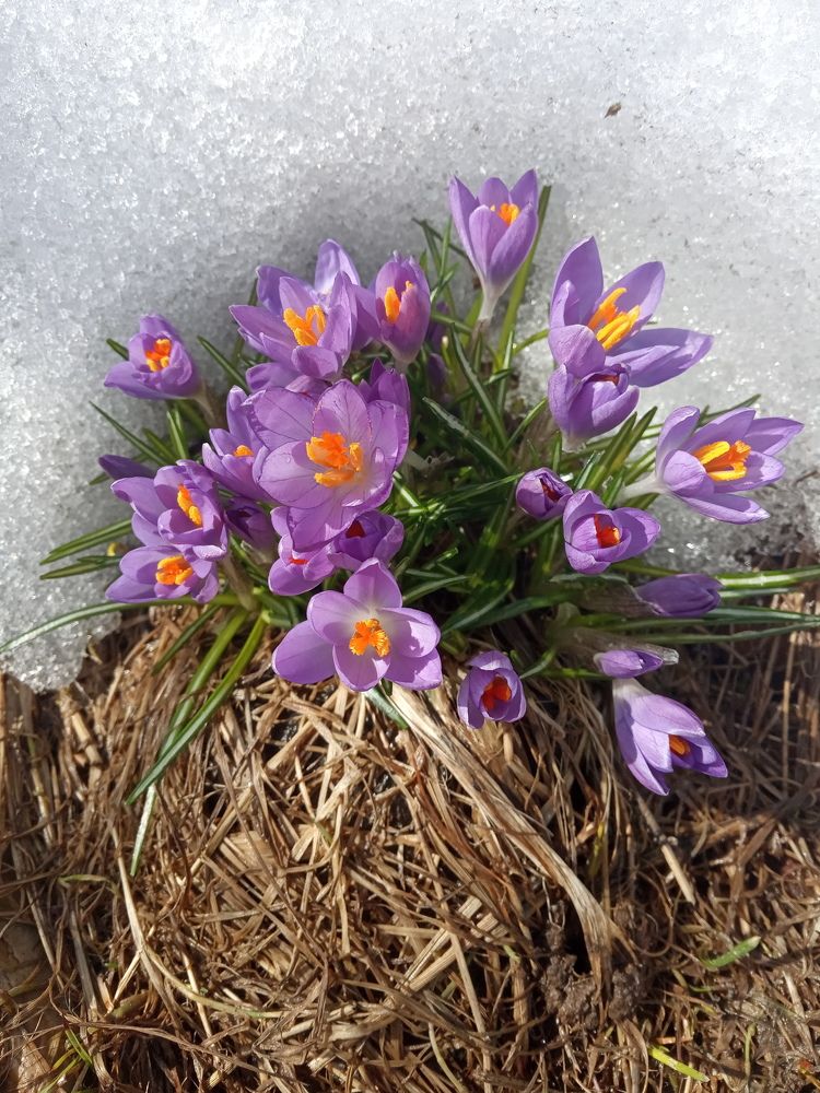 Photograph by Любовь Шаврина