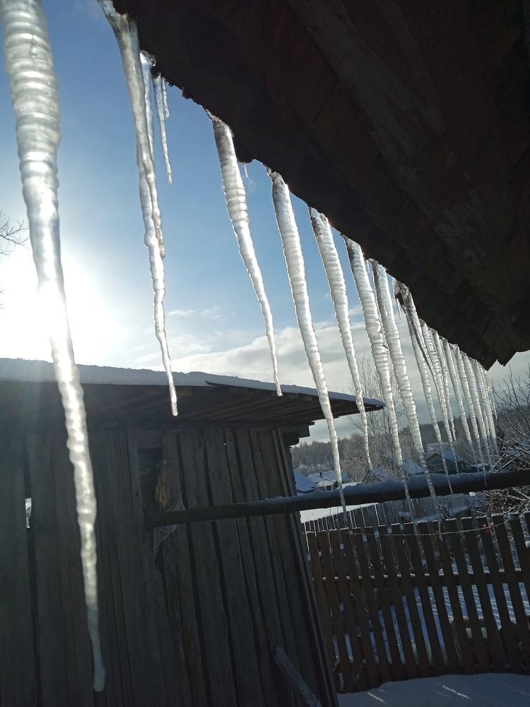 Photograph by Любовь Шаврина