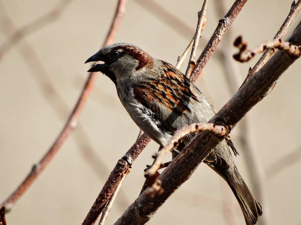 Photograph by Анжелика Трошина