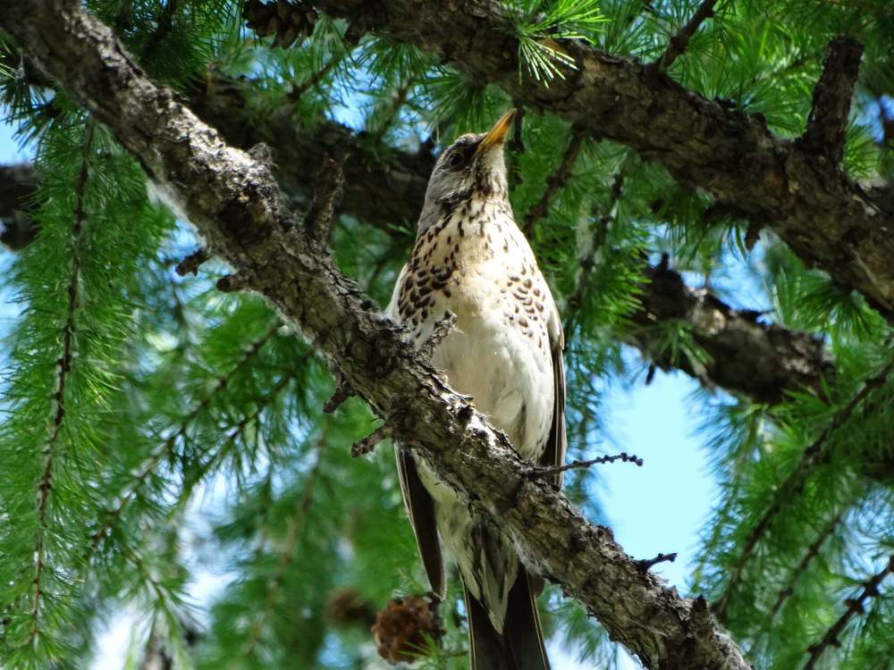Photograph by Анжелика Трошина