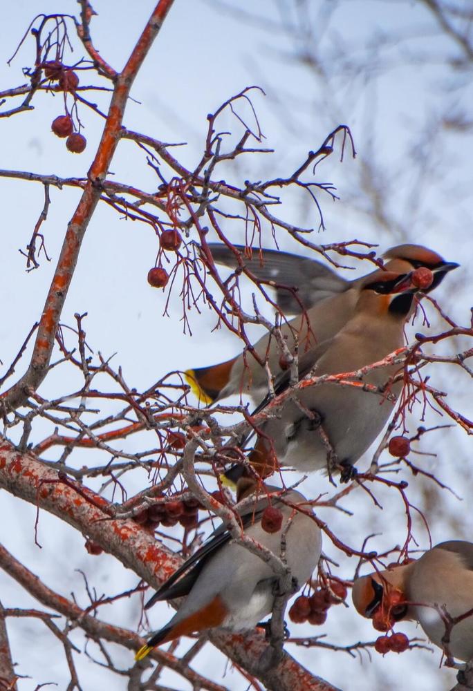 Photograph by Анжелика Трошина