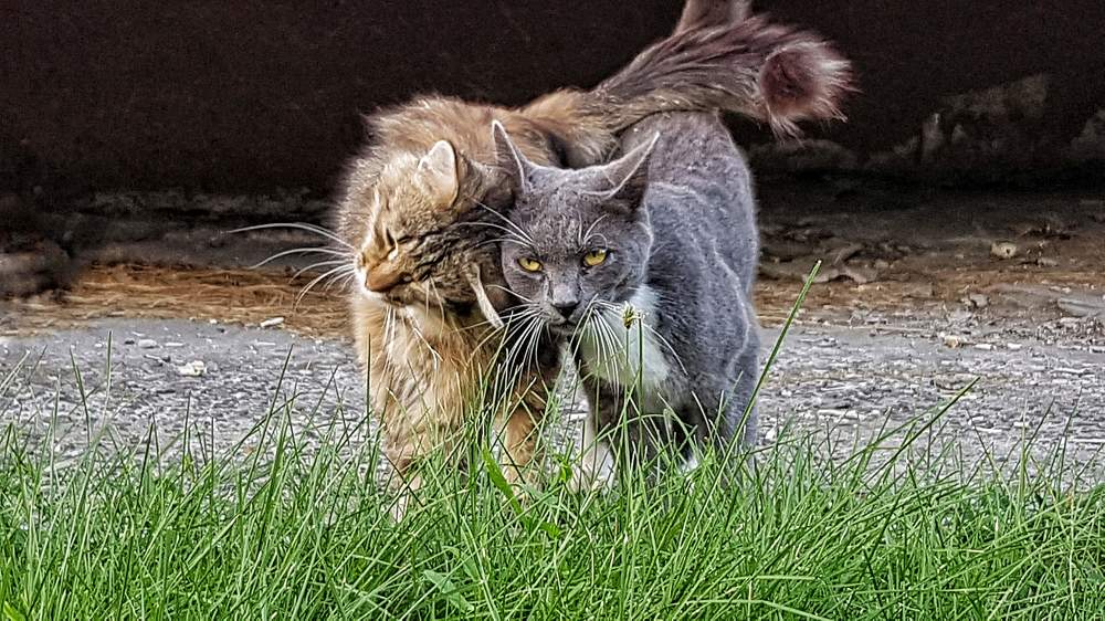Фотография автора Дана Богинская