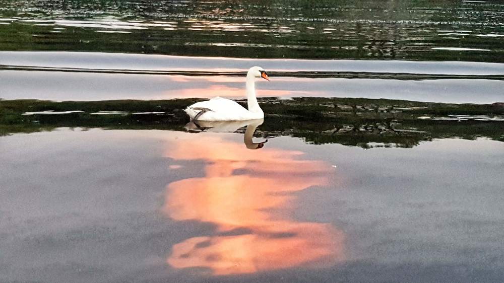 Фотография автора Дана Богинская