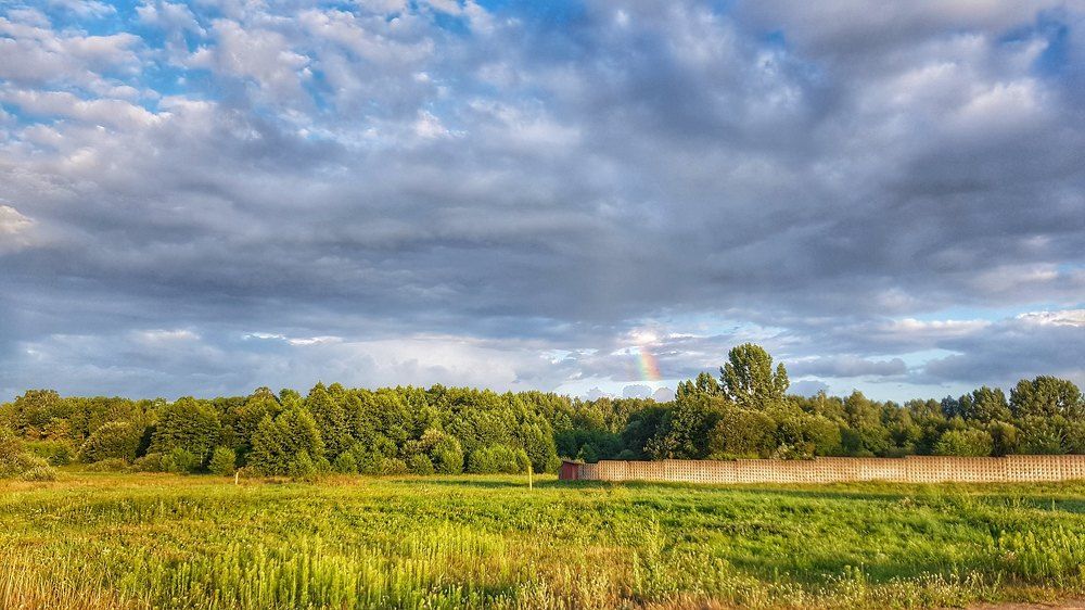 Фотография автора Дана Богинская