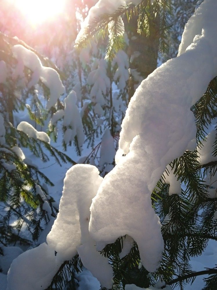 Photograph by Светлана Олина