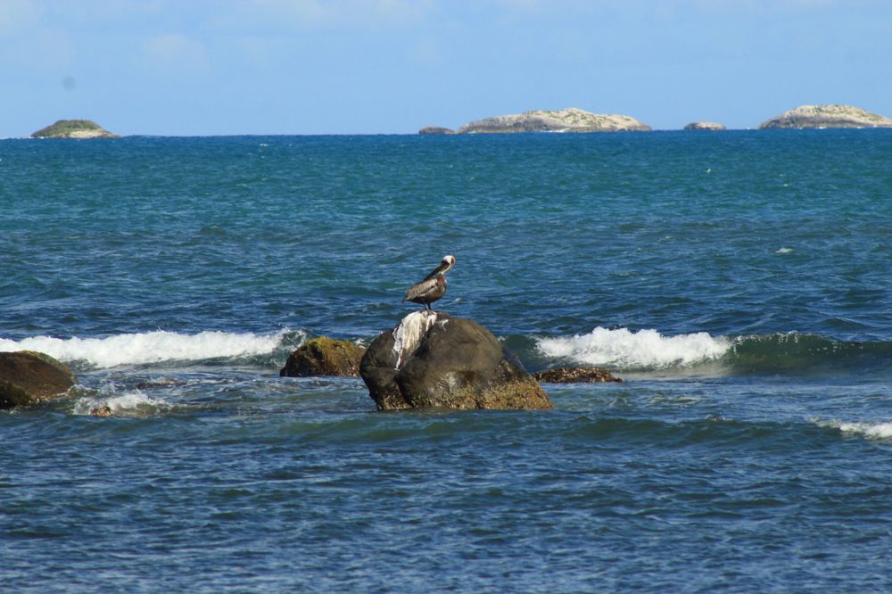 Фотография автора Jose Otero