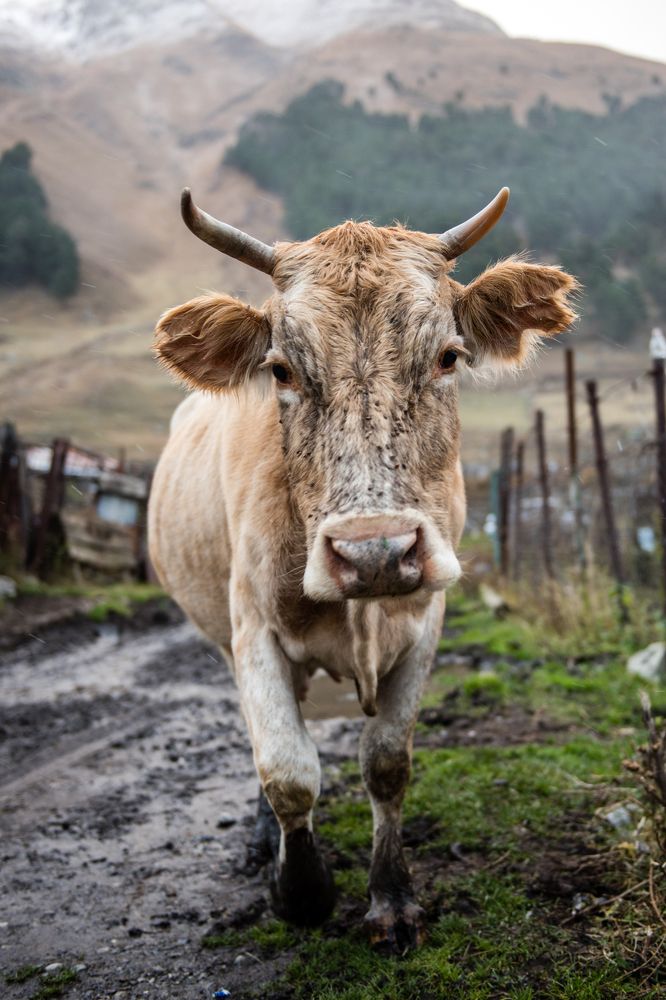 Photograph by Евгений Моляшов