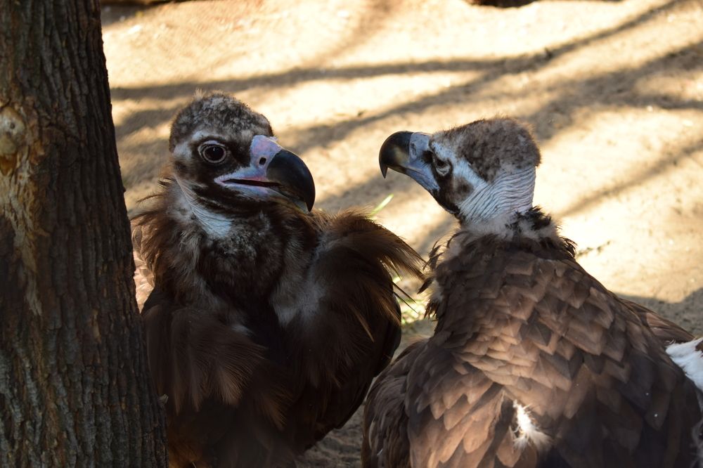 Photograph by Наталья Еременко