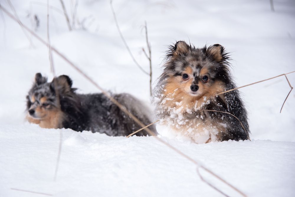 Фотография автора Геннадий Коробов