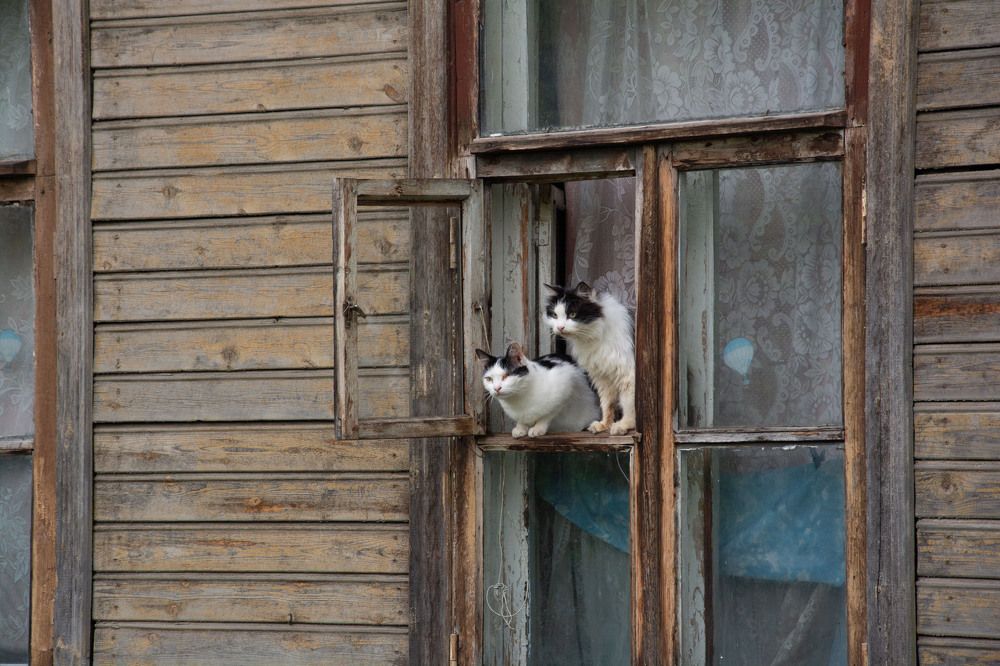 Фотография автора Геннадий Коробов