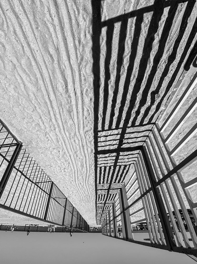 Photograph by Анастасия Ломаева