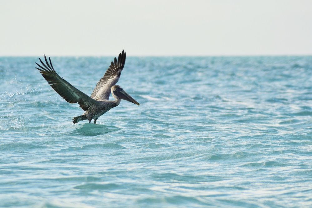 Photograph by Александр Коркин