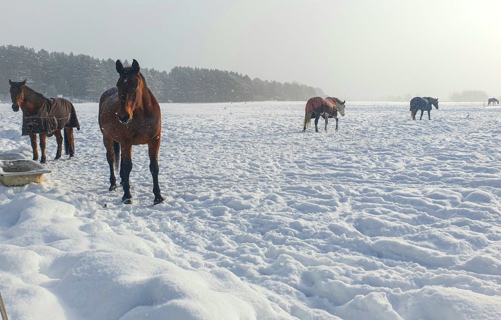 Photograph by Jelena Dzene