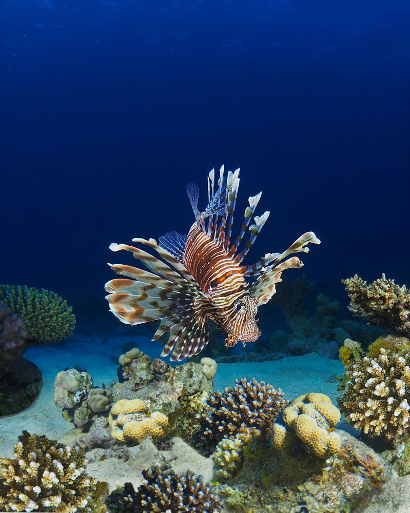 Photograph by Екатерина Сараева