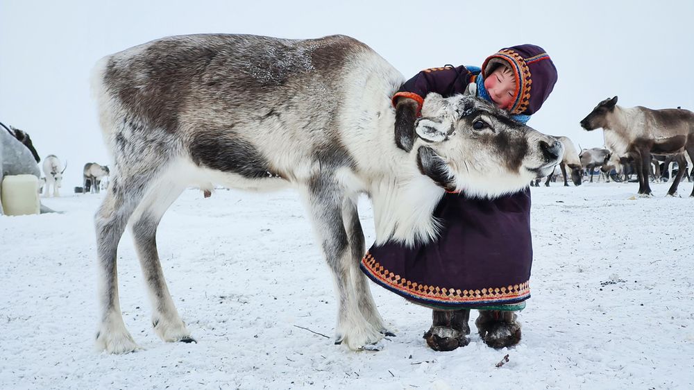 Photograph by Александр Кузовков