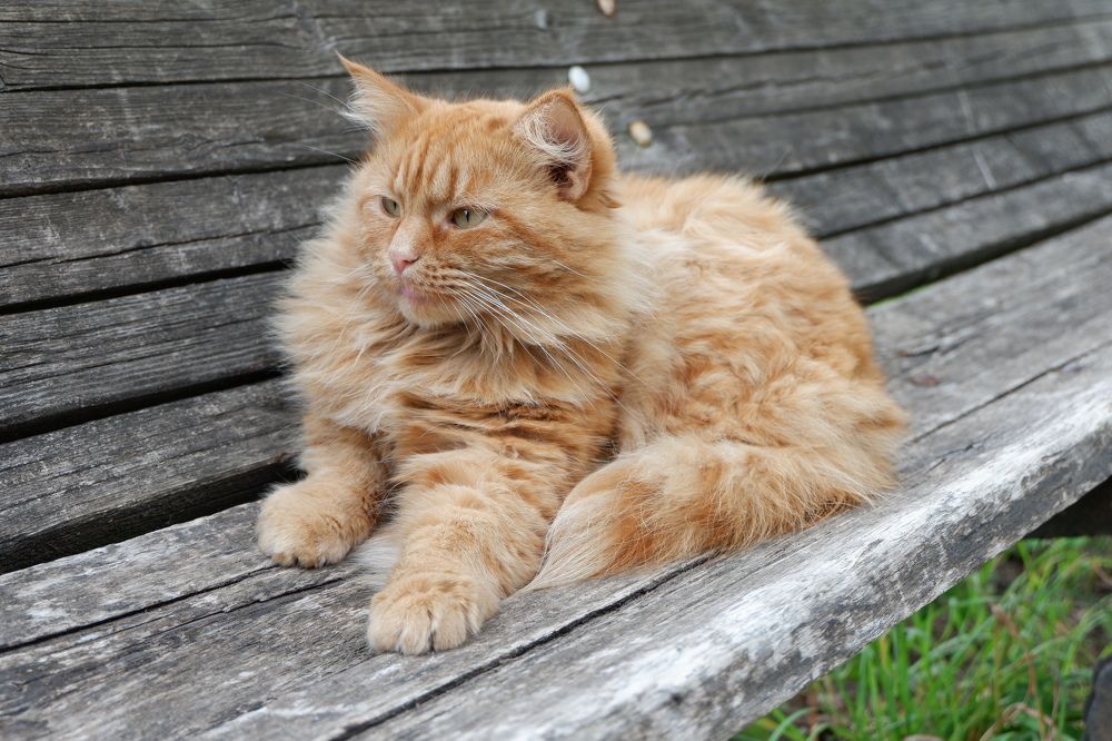 Photograph by Юлия Морозова