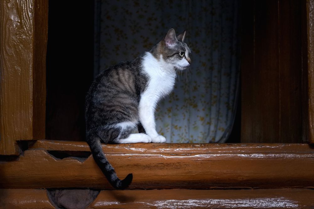 Photograph by Юлия Морозова