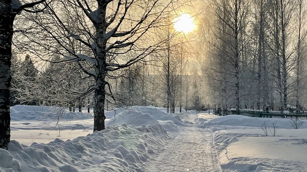 Photograph by Александр Карпинец
