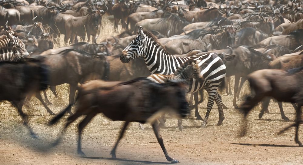 Photograph by Sekhar Kiran Krishanan