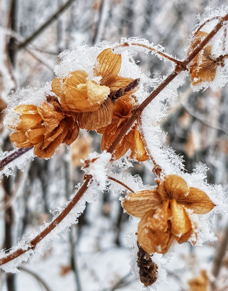 Photograph by Алла