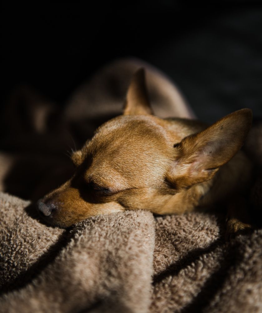 Photograph by Жанна Думинская