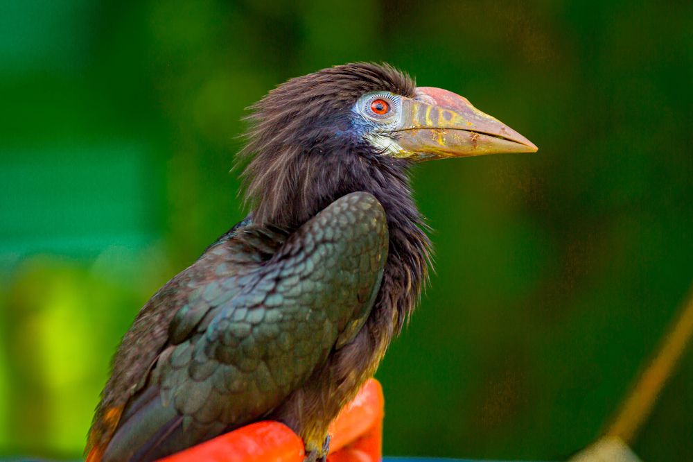 Photograph by Дмитрий Грошиков