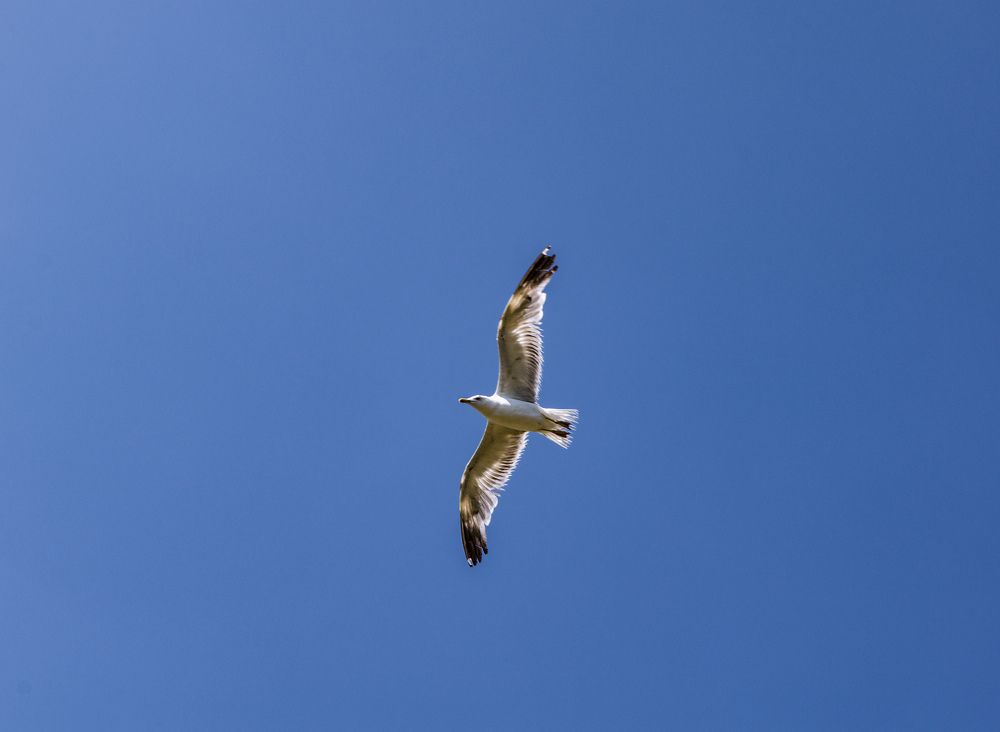 Photograph by Александр Бураков