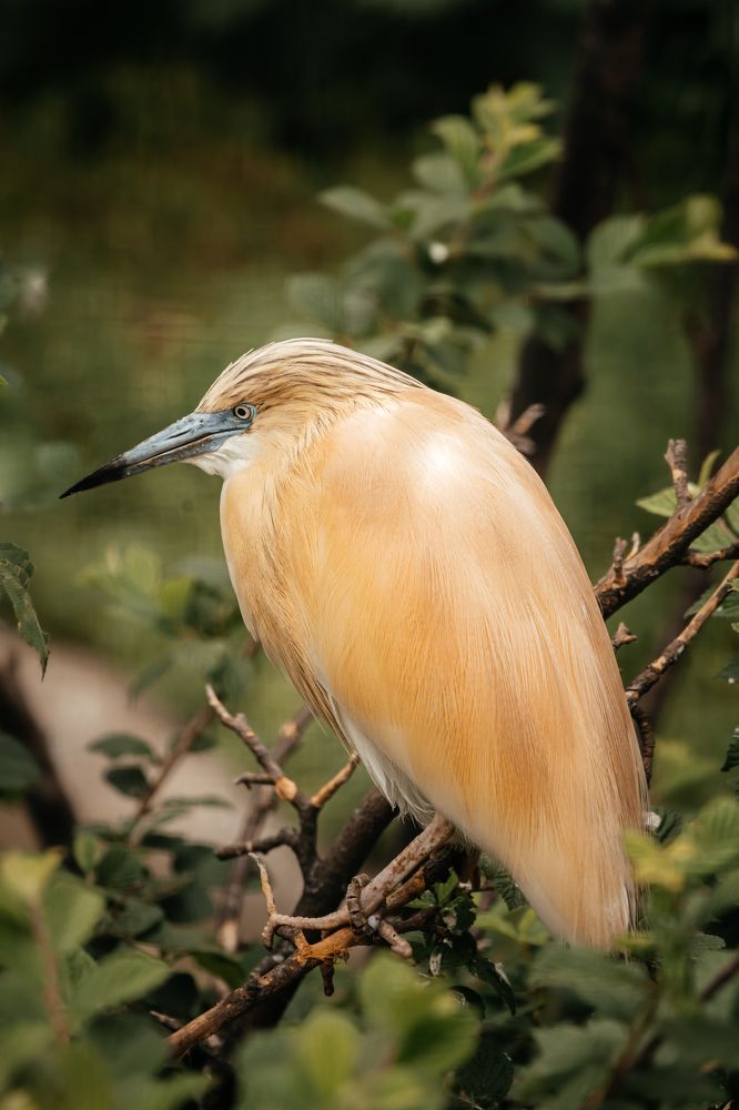 Photograph by Оксана Корчагина