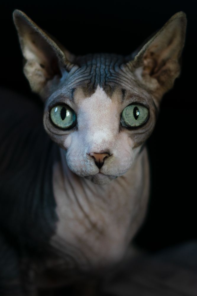 Photograph by Елена Королева
