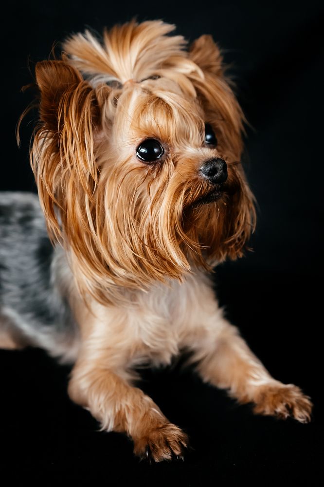 Photograph by Оксана Корчагина