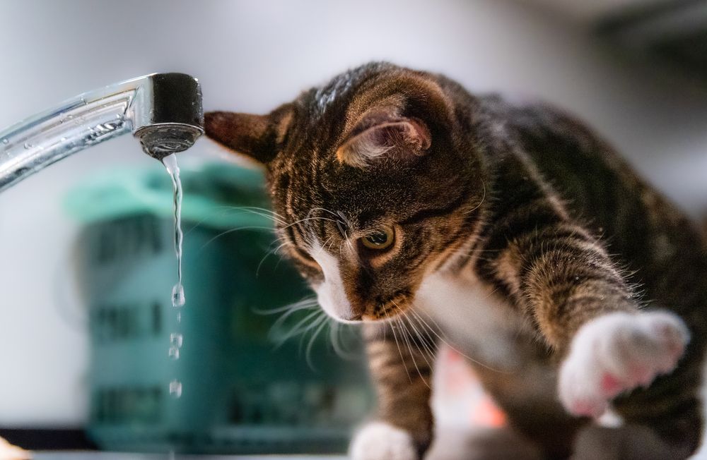 Photograph by Marta Magiera