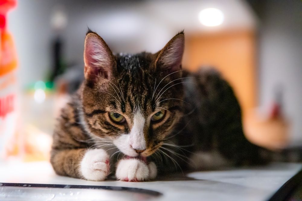 Photograph by Marta Magiera