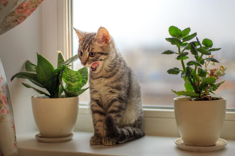 Photograph by Оксана Корчагина