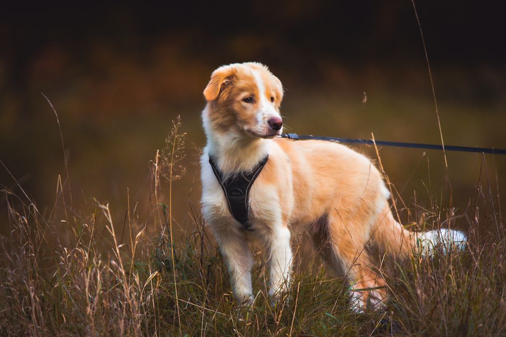 Photograph by Marta Magiera